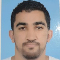 mehdi Elfarissi