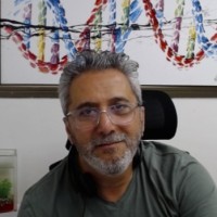 Benzi David