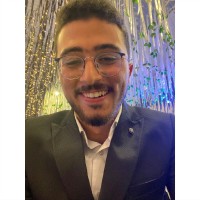 Ammar Saeed, Dipifr 🇵🇸