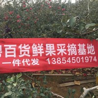 侯晓萍