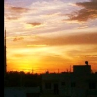 Dayal P M