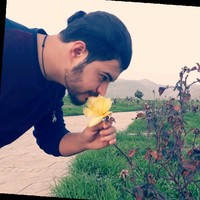 Bryar Chavoshi