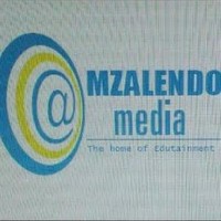 Mzalendo Media Services