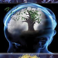 Neuroscience Olc