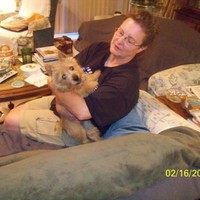 Donna Stringfellow