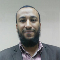 عامر العزبي