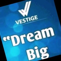 Vestige Abhishek Parmar