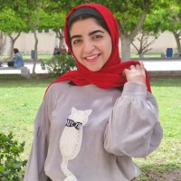 Mona Elsayed