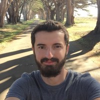 Adnan Mustedanagic