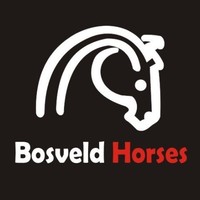 Marcel Bosveld