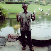 eddy sumarsono