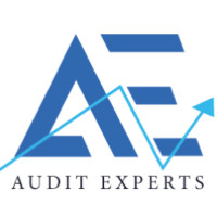 Audit Experts