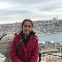 Elif Şen