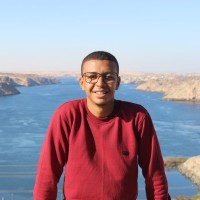 Ali Gamal