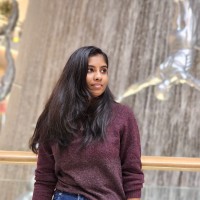 Neethu Krishnan