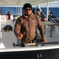 sultan ali