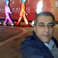 Alaa Shoukry