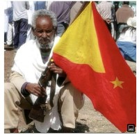 Tesfay G.Kiros