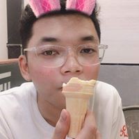 Hoang Phung