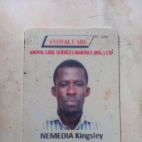 Nemedia Kingsley