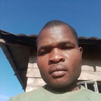 Hillary Ingosi
