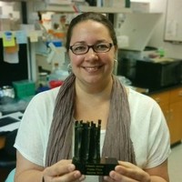 Lisa Shollenberger