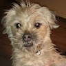 Bernd Döring