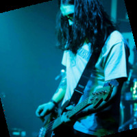 Dom Ogden