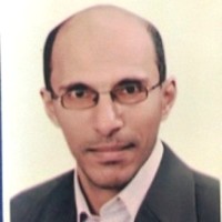 عادل المصرى