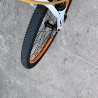 严廷先