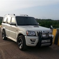 Wilson Pereira