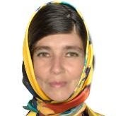Елена Сокольская