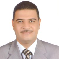 Hussein M. Maghrabie