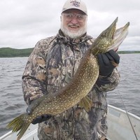 Dan Wininger
