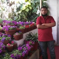 Faisal Bahashwan