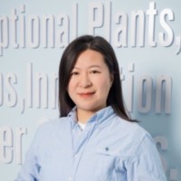 Ying Dai