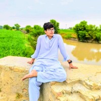 Syed Hamza Shah