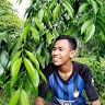 Perdana Kali