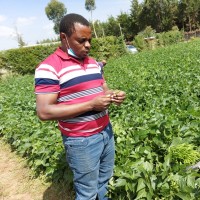 Ashibon Mwangi