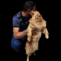 Behnam Ahmadi