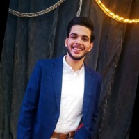 Hesham El Meligy