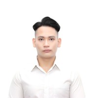 Duy Ho Hoang