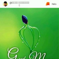 sunil Suni