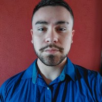 Felipe de Souza Domingues