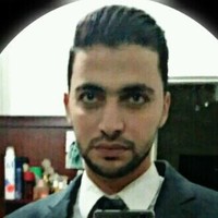 ahmed hegy