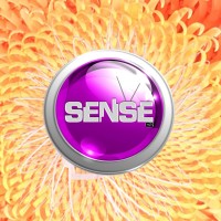 SENSE Production