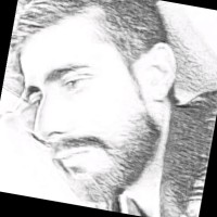 Hassan Fareed