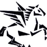 Pegasus Security group