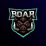 Bsc Boar