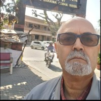 Raman Vasudev